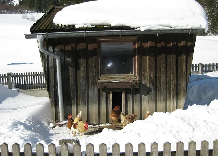 In Near St Anton Slopes