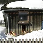 In Near St Anton Slopes